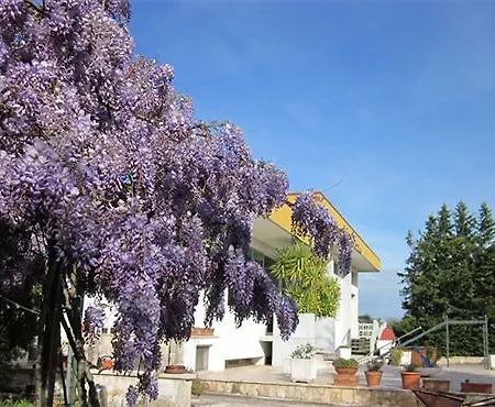 Mizar Blu Monopoli